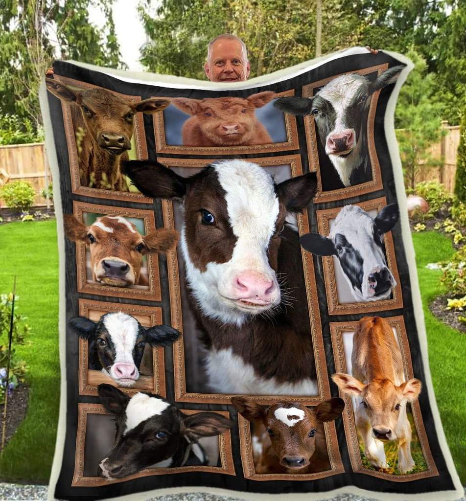 Cute cows blanket 3