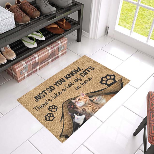 Just so you know there's like a lot of cats in here doormat 4