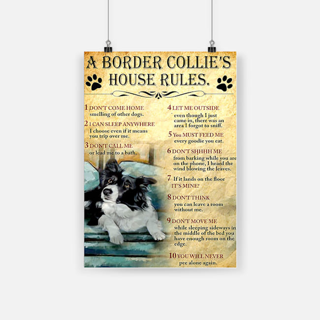 A border collie's house house rules poster 2