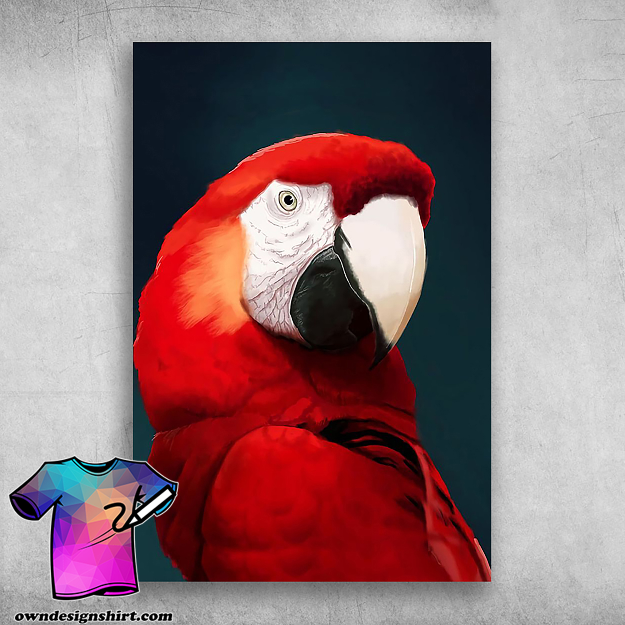 Amazing macaw beautifully designed red parrot poster