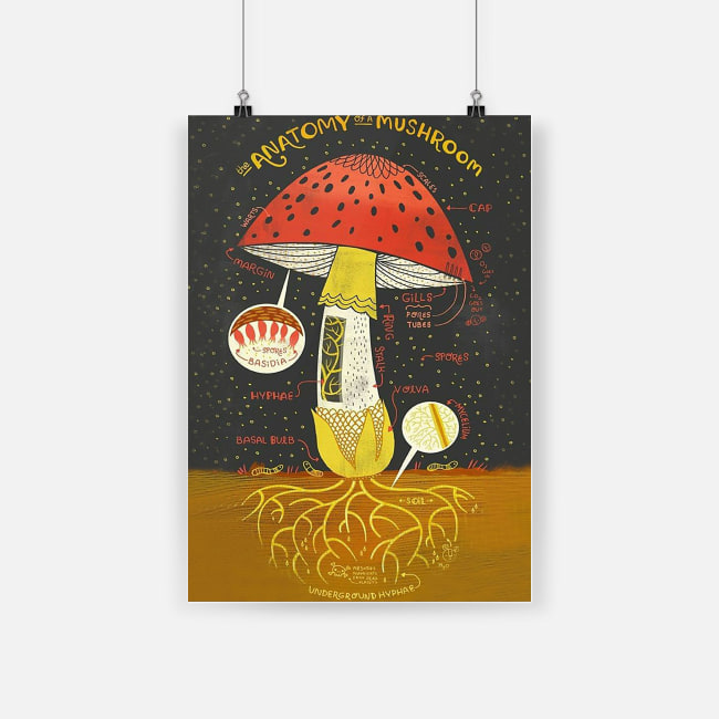 Beautiful mushrooms for life the anatomy of a mushroom poster 2