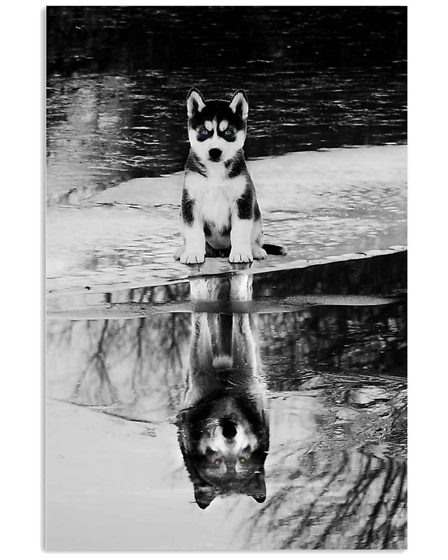 Husky dog reflection poster 1