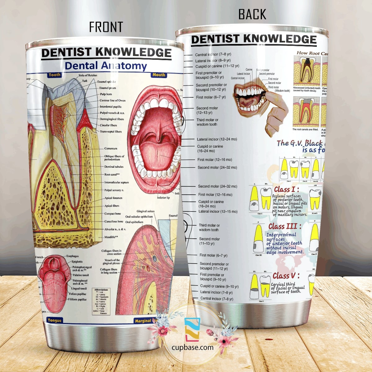 Dentist knowledge all over print tumbler 1