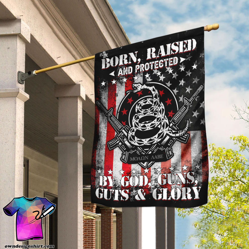 Born raised and protected by god guns guts and glory 2nd amendment flagv