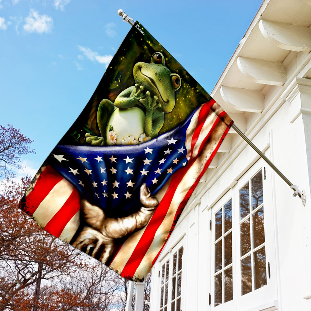 Frog american flag 1