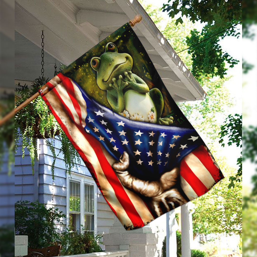 Frog american flag 2
