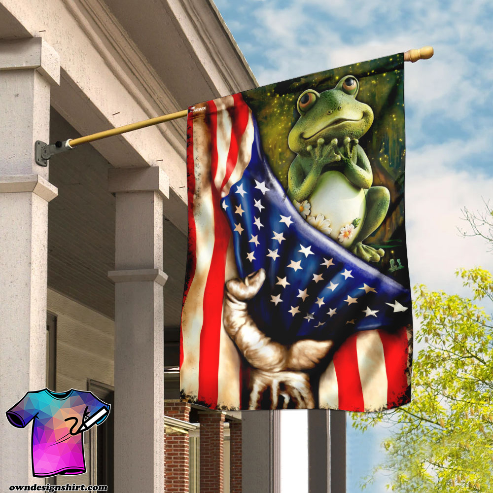 Frog american flag